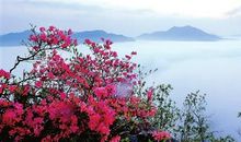 寻美，向山花烂漫处-《盛开于繁花的季节》读后感600字