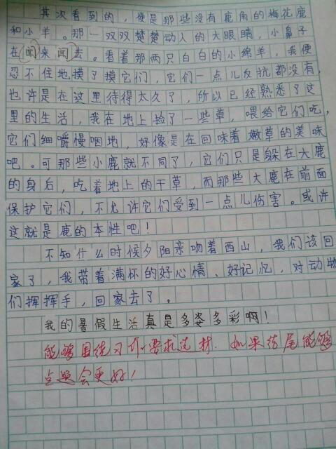 我的动物一家 我的家人300字作文