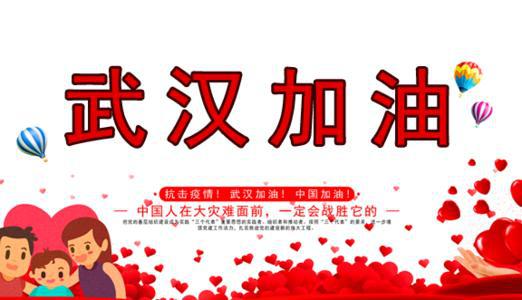 为武汉加油 关于疫情的作文800字