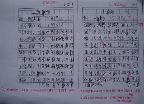 小学生议论文的优秀评语