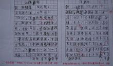 小学生议论文的优秀评语