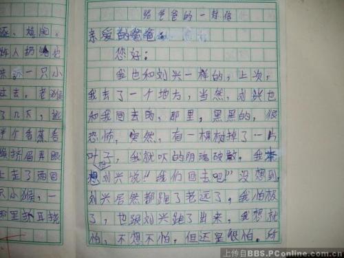 写给爸爸的一封信 优秀书信作文600字