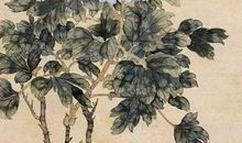 作文展 ▏ 全国小学生优秀作文欣赏