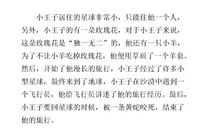 小王子读书笔记范文