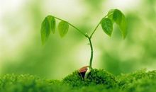 【创意作文】立新小学五年四班优秀作文展示（五） 那一刻，我长大了