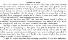 原创 四年级优秀作文范文《捉蚊趣事》