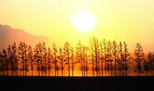 原创 中考满分作文：《懂你》，爷爷，该让我怎么对你说？