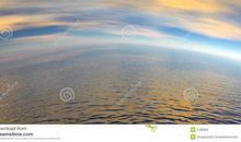 桔子的天空观后感3篇