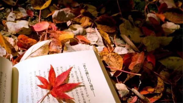 你的作文分数是否高分，要看阅卷老师的“三眼淘汰法” 1