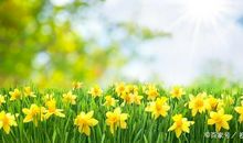 五年级作文：夏天印象