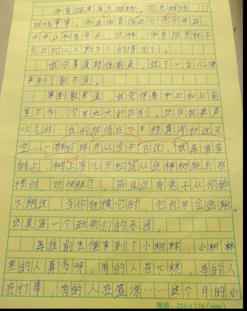 这天，我回家晚了-写事的作文800字