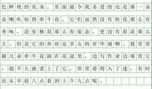 我的家乡 家乡的四季作文300字