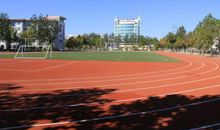 校园秋景-美丽的校园作文800字