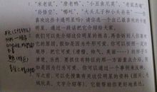 竹篮岁月-关于节能环保的作文900字