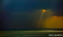 初二作文：相依合作