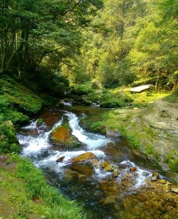 四年级下水作文:美丽的小山村