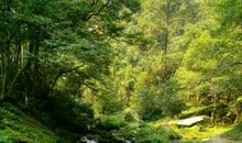 四年级下水作文：美丽的小山村