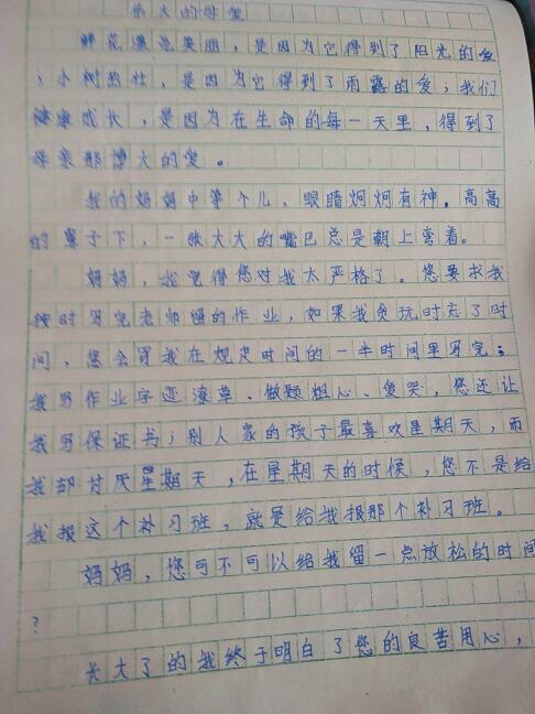 暴风雨 爷爷的爱500字作文