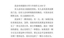 顽强的小草-小草的启示作文300字