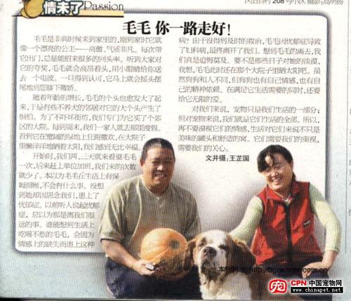 《毛毛》读后感三篇