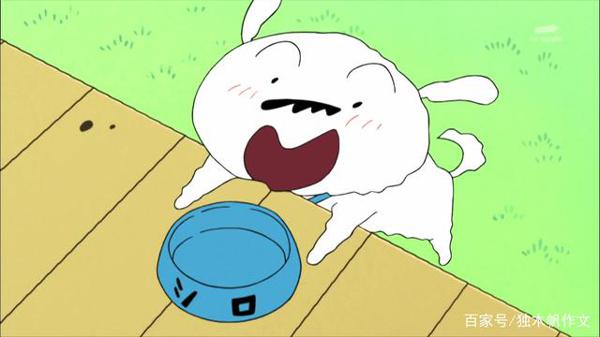 三年级作文:我家的小白