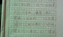 作文评点‖相似的微光（每段评点加总评）