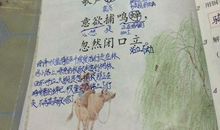 春节所见初中作文