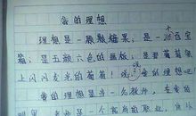 我的理想 六年级我的理想作文800字