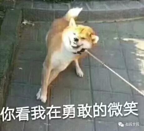 为了凑字数写的沙雕作文——掌声送给小学生 19