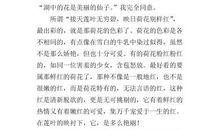 夏日的荷花-写景的作文400字