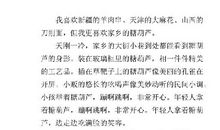 梦的糖葫芦 一个奇怪的梦500字作文