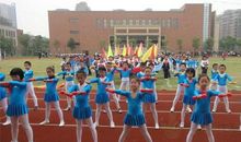 秋季趣味运动会 有趣的运动会800字作文