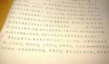 海 关于大海的写景作文300字