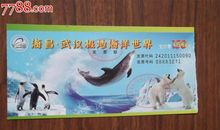 武汉极地海洋世界 国庆节游玩日记400字