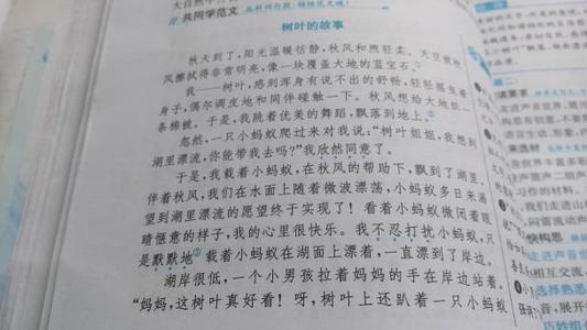 写风的好词好句