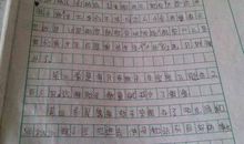 第一次数学“考试” 一次难忘的经历300字作文