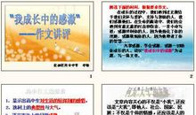 成长路上的阳光 小学生励志作文800字