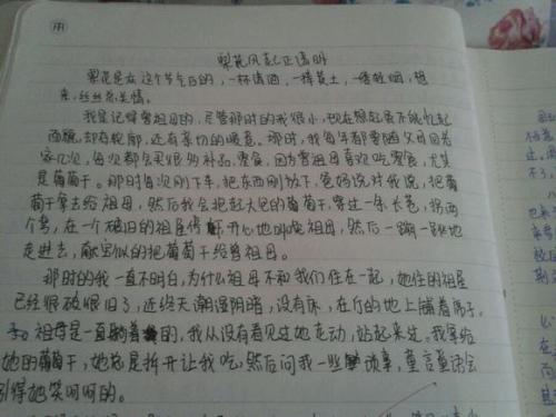 向其他父母取经 家长随笔作文500字