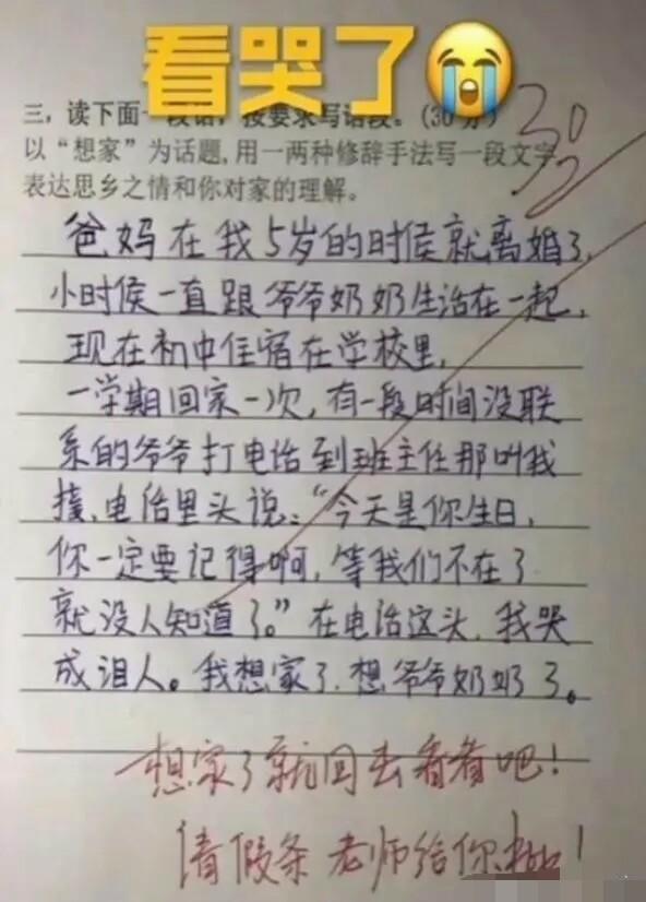 小学生满分作文《孤独》惹人泪目,谁说我们的孩子不会写作文 1