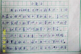 小兔的姐弟情 四年级写动物作文600字
