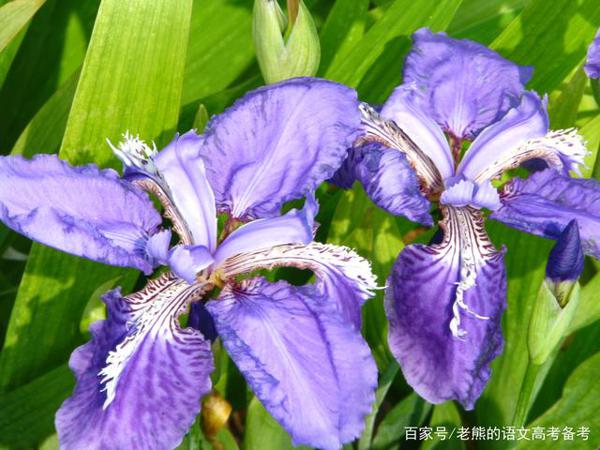 高考作文辅导68:天行健,君子以自强不息 1