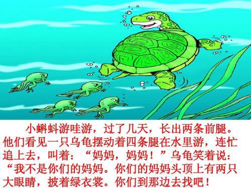 我喜欢的小动物――青蛙 保护青蛙300字作文