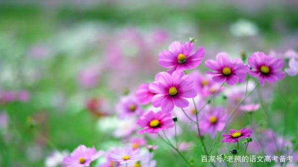 高考作文辅导68:天行健,君子以自强不息