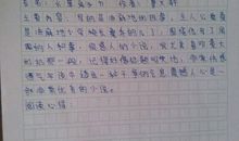 读书心得体会600字范文