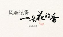 风会记得一朵花的香-优秀读后感500字