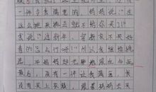 我的学生 学生的进步500字作文