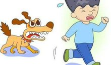 五年级作文：被狗追