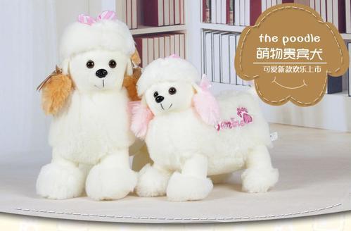 我最喜爱的“活宝” 可爱的贵宾犬作文700字