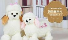 我最喜爱的“活宝” 可爱的贵宾犬作文700字