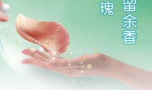 赠人玫瑰，手有余香 初一作文500字